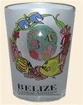 Belize BEZ-SG02 Frosted Shot Glass with window