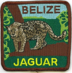 Belize Jaguar Patch