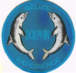 Belize - Dolphin Experience