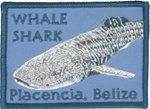 Belize Whale shark Plancecia Patch