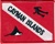 Cayman Islands Dive Flag Patch