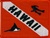 Hawaii Dive Flag Patch